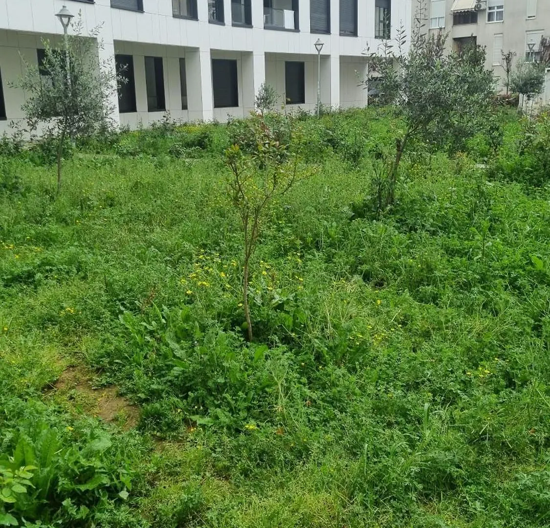 Lejlighed Odahousetirana