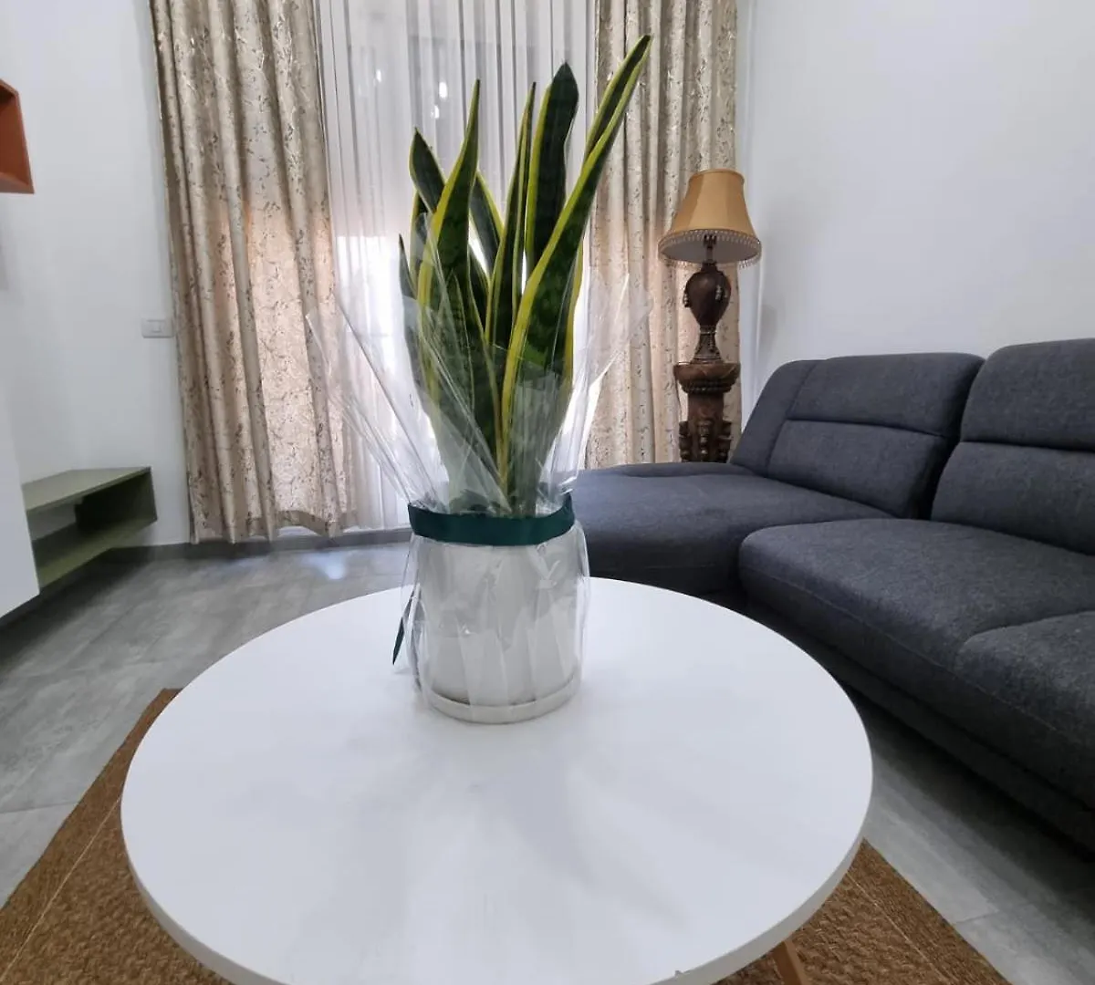 Odahousetirana Albanien